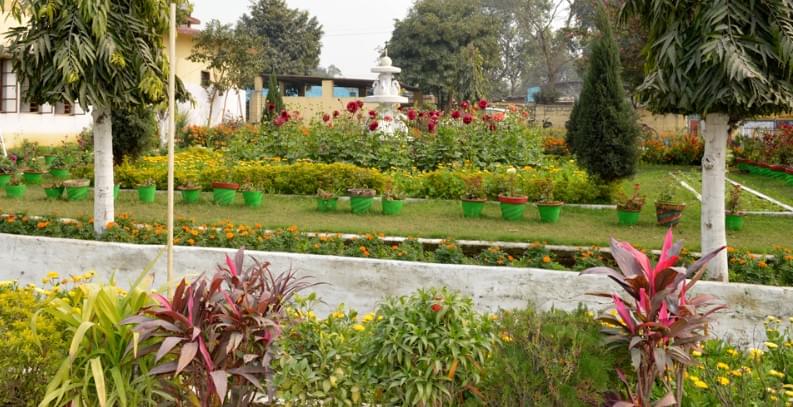 ARS BEd College Dhanbad Campus photo 1